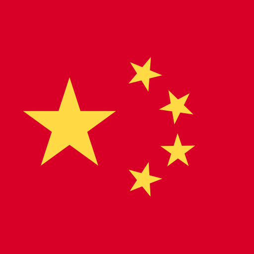 中文 flag